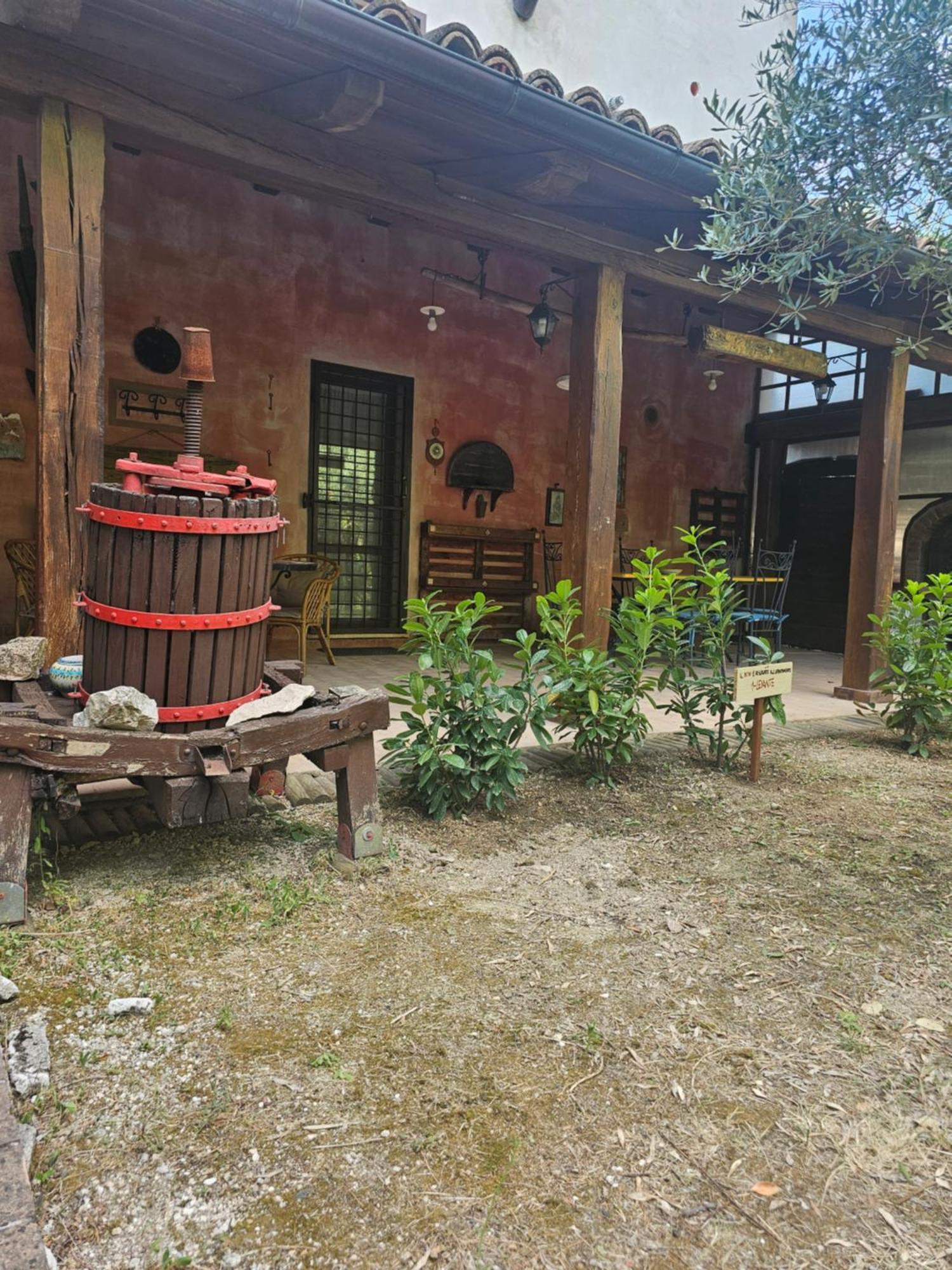 La Rosa Dei Venti - Country House 福萨托-迪维科 外观 照片